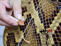 中华说书人的名言