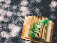 最全的《得未曾有》经典名句