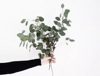 多希望，时光在我们也在