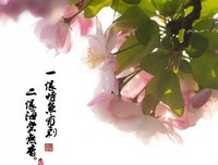 美美的张爱玲好词好句