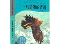 最经典的如似我闻名言大全