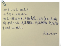 最新的《亲爱的三毛》唯美语录
