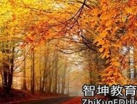 有关云上经典句子