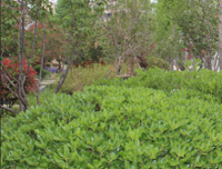 我想换一种活法