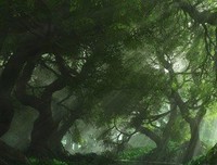 写作，让内心变得平静