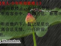 关于琦君名言名句