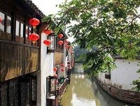 15条关于竹柳的经典语句