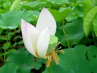 珍惜人生每一天
