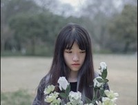 那一树一树的花开