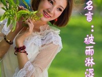 最新的雨狸名言