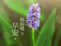 最全的《仙剑奇侠之花千骨》经典名句