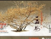 最经典的《我们终将独自长大》佳句摘抄