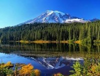 有关叔齐的美句摘抄