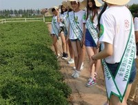 《仁德法语》语录摘抄