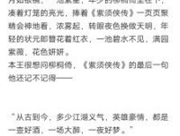 最新的《皇叔》小说句子