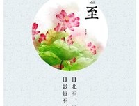 最全的《莲花》小说句子