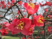 最新的《变形计》经典语录大全