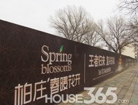 关于柏庄名言大全