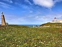 最新的《后会无期》名句欣赏