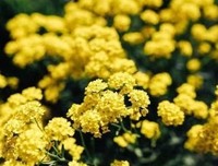 随意经典的句子