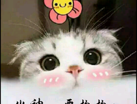 隐要和名言