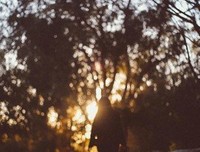 白晝格以年光，豈知夜色格以年深?的句子