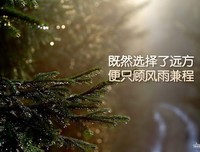 《青春美文》经典名句