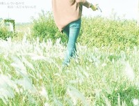 最新的《青藤之凉》小说书摘