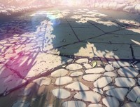 最新的《秒速5厘米》经典台词大全