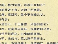 最全的许鱼的名言