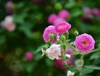 《认真从随便开始》经典句子