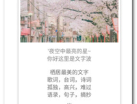 最全的《我在等，等风等你来》好段摘抄大全