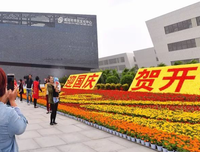 你在绿芜丛中辗转成歌经典名句