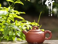 大科学中的父子传承 | BetterRead