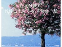 梦用路着殇的句子
