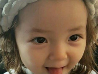 等风来句子大全