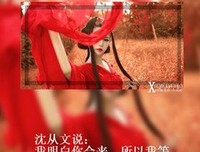 沈从文经典句子