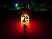 最全的《朝圣者》好段摘抄大全