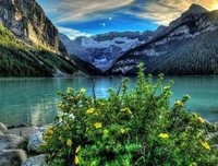 有关周家的美文美句摘抄