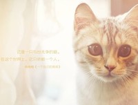 关于苏立的唯美语录