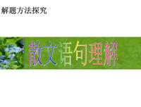 散文句子大全