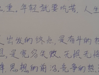 《拯救男配计划》经典名句大全