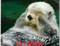 随心 随意 经典名句