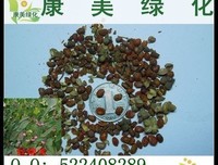 关于明开夜合名言
