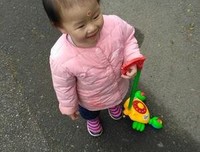 最全的春暖花开名言