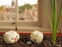 最全的《1Q84》语录摘抄