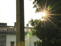 最新的《尘曲》佳句摘抄大全