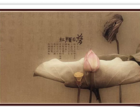 最新的《欢喜》经典句子