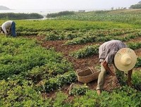  为什么能力比你差的人，挣得却比你多？