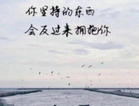 《迷雾》经典句子大全